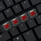 How Keyboard Switches Works